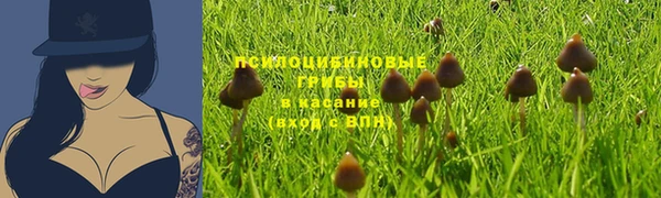 синтетический гашиш Белокуриха