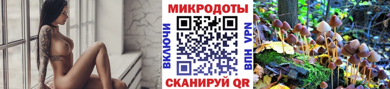 Псилоцибиновые грибы Psilocybine cubensis Тырныауз